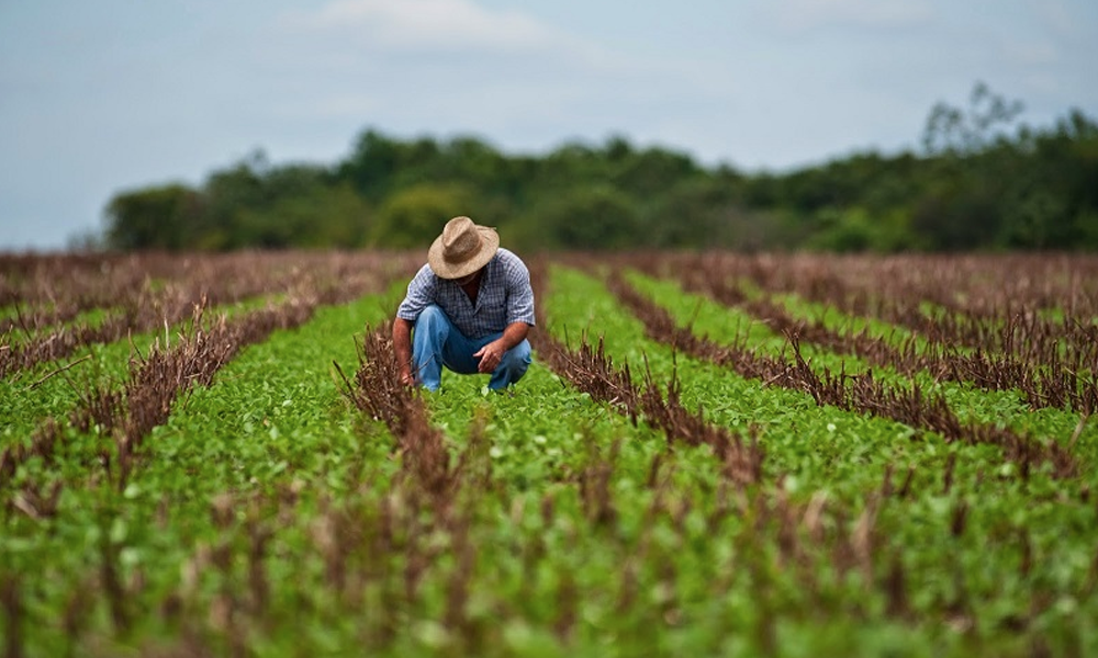 Comissão aprova política nacional para incentivar agroextrativismo familiar na Amazônia