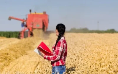 Agronegócio terá maior crescimento desde 2017