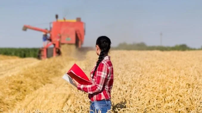 Agronegócio terá maior crescimento desde 2017