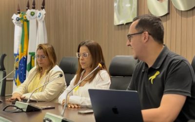 Confea promove palestra sobre saúde mental no Setembro Amarelo