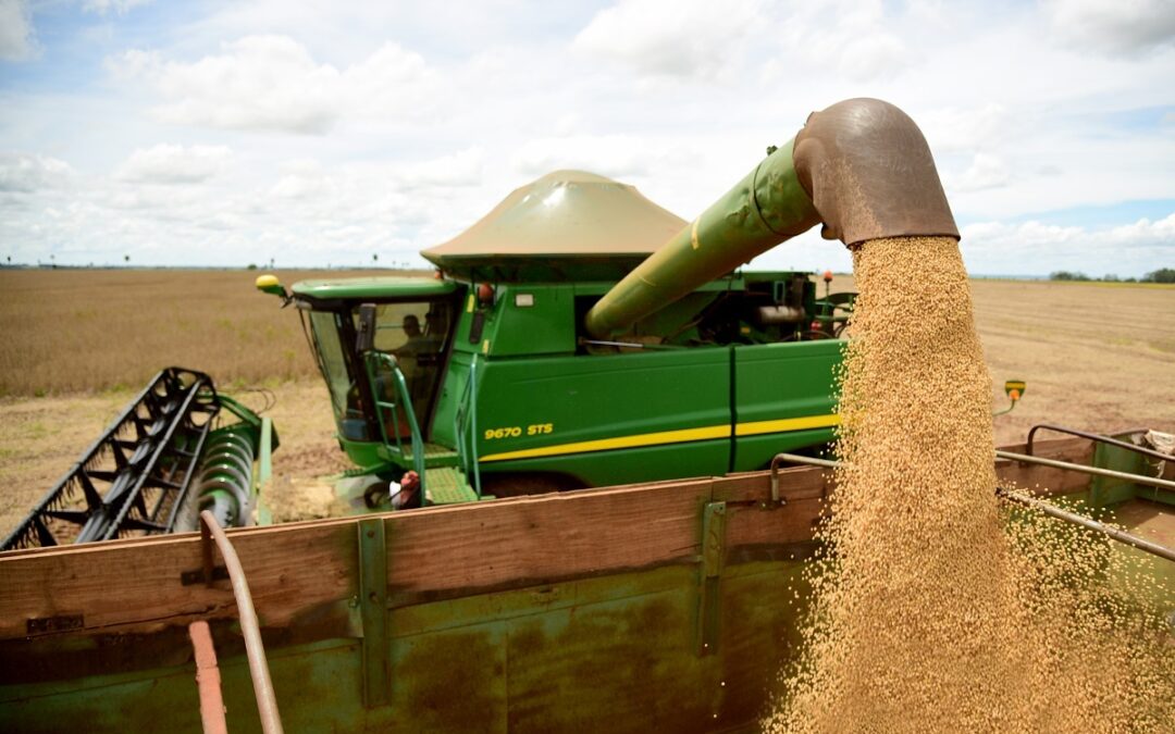 CNA prevê aumento da produção do agronegócio no próximo ano