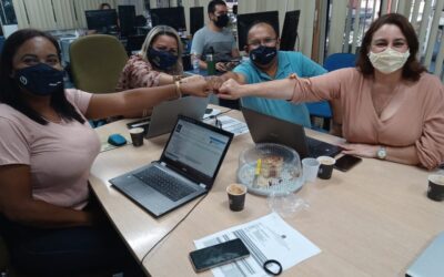 CÂMARA ESPECIALIZADA DE ENGENHARIA ELÉTRICA E SEGURANÇA DO TRABALHO REALIZA SUA 167ª REUNIÃO ORDINÁRIA