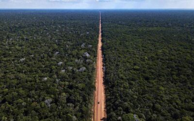 Justiça aponta direito de ir e vir para autorizar pavimentação na BR-319