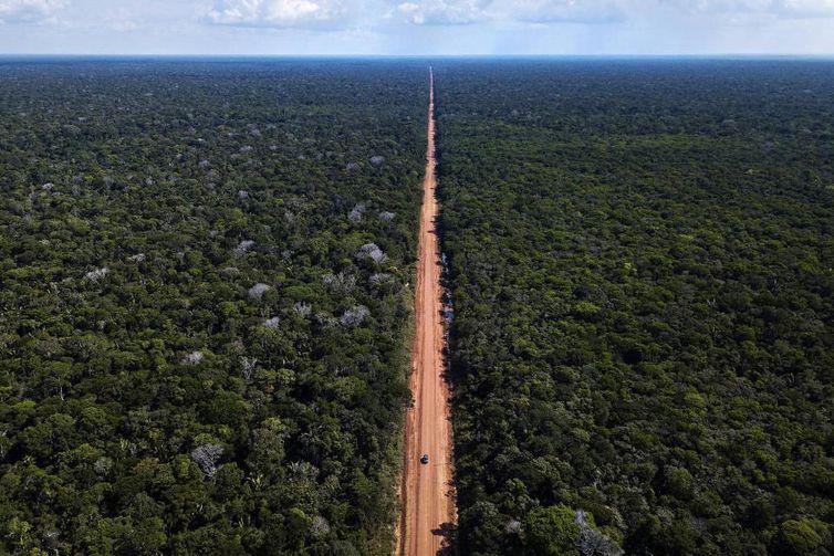 Justiça aponta direito de ir e vir para autorizar pavimentação na BR-319