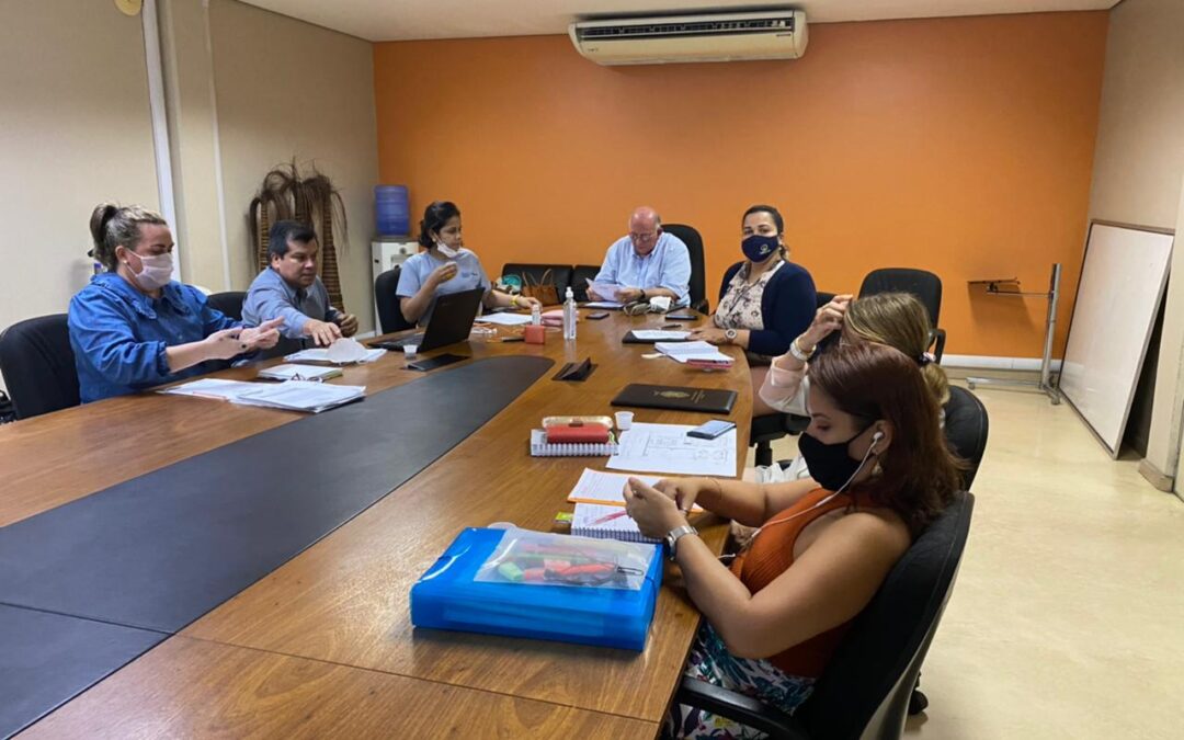Crea-AM participa de Reunião no COPHAM