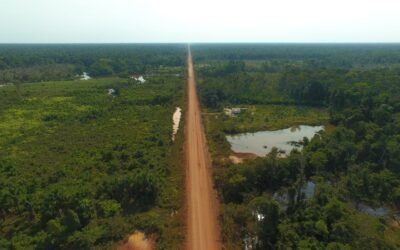 BR-319, a Rodovia da Vida