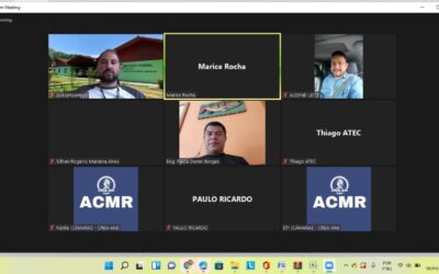 933ª Reunião Ordinária da Câmara Especializada de Agronomia