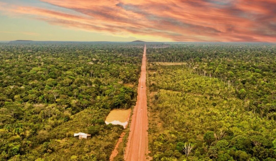 Justiça, a pedido do MPF, suspende obras da BR-319 no Amazonas