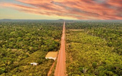 Justiça, a pedido do MPF, suspende obras da BR-319 no Amazonas