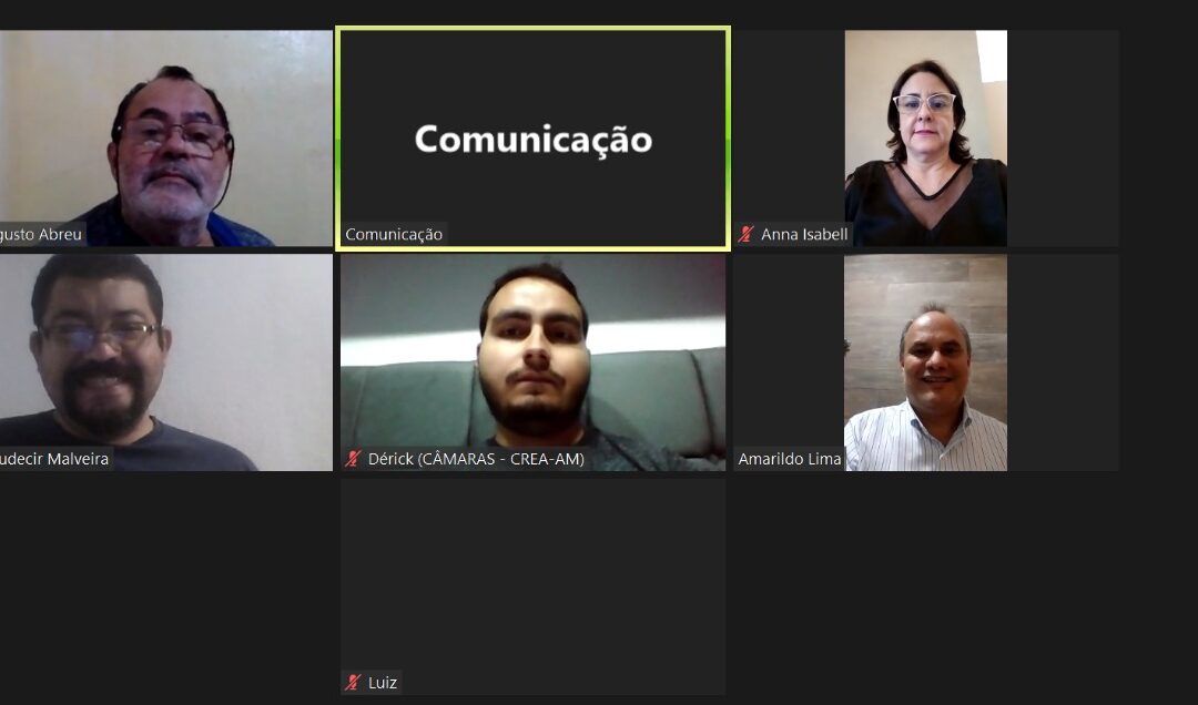 210ª Reunião Ordinária da Câmara Especializada de Engenharia Elétrica e Segurança do Trabalho