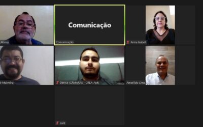 210ª Reunião Ordinária da Câmara Especializada de Engenharia Elétrica e Segurança do Trabalho