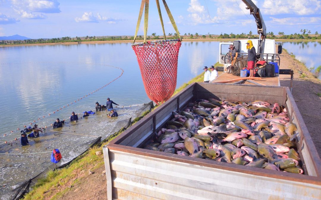 Setor da Engenharia de Pesca ganha projeção e valorização com homenagens e premiações