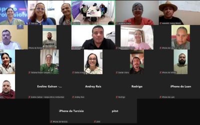 Crea-AM realiza primeiro treinamento online para novos inspetores