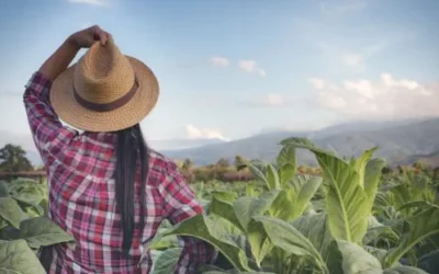 Comissão aprova projeto de incentivo para beneficiar trabalhadora rural familiar com título da reforma agrária