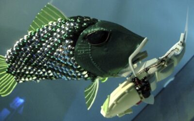 Cientistas criaram um peixe-robô capaz de acabar com plásticos dos oceanos