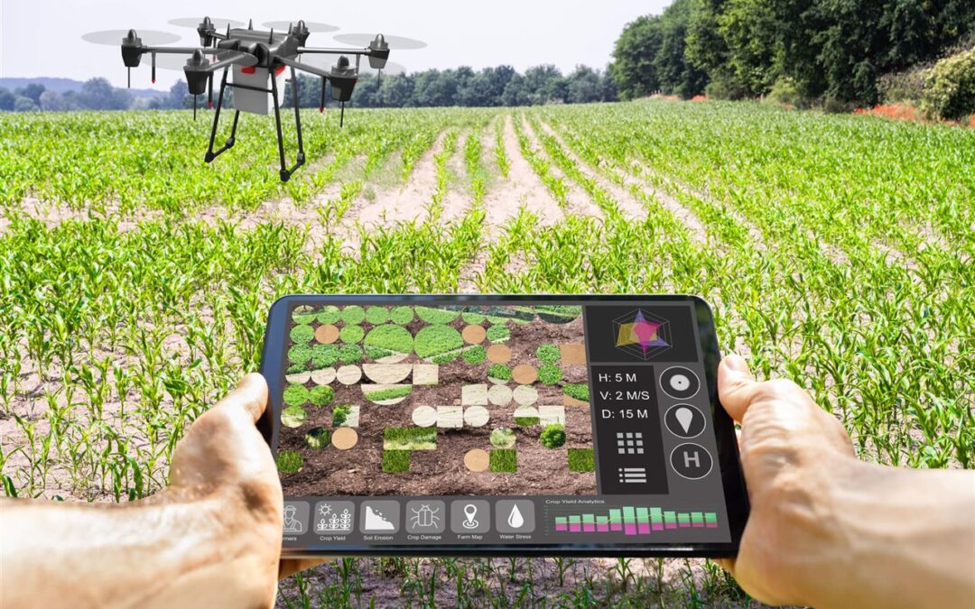 Centro de Agricultura Digital vai prover tecnologias para pequenos produtores