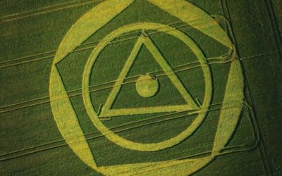 Desenho misterioso aparece em plantação de trigo no Brasil