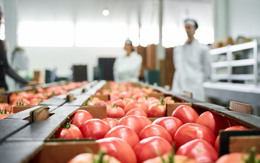 “Brasil pode se tornar a Arábia Saudita dos alimentos”, afirma presidente do Banco dos Brics