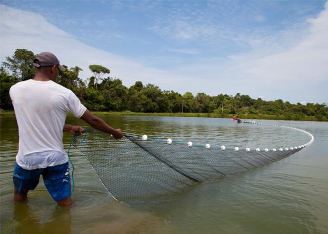 Maratona busca soluções inovadoras para aquicultura brasileira