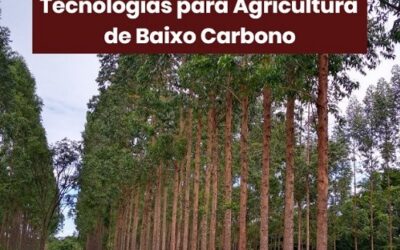EMBRAPA oferece curso online gratuito na área agrícola