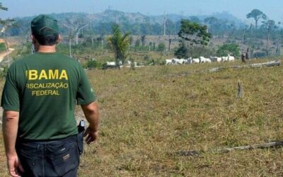 Comissão do Senado pode votar renegociação de dívidas de produtores com o Ibama