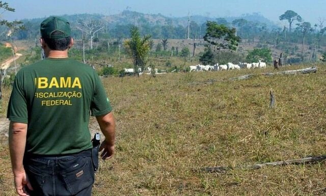 Comissão do Senado pode votar renegociação de dívidas de produtores com o Ibama