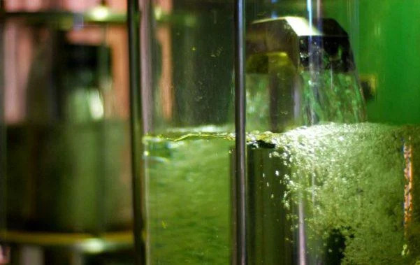 Câmara aprova urgência para projeto que cria o Selo Biocombustível Socioambiental