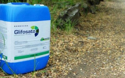 Camex reduz alíquotas sobre glifosato e outros insumos