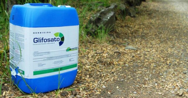 Camex reduz alíquotas sobre glifosato e outros insumos