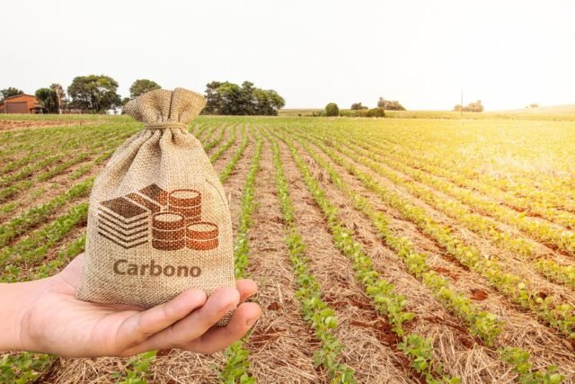 Brasil pode gerar receita de até US$ 120 bi em créditos de carbono até 2030
