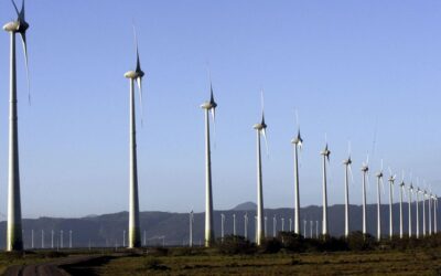 Leilão de energia contrata 29 empreendimentos com deságio de 9,36%