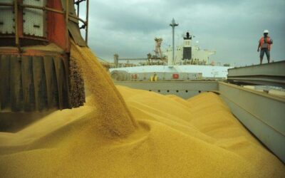 China comprou 67% da soja brasileira nos cinco primeiros meses de 2022