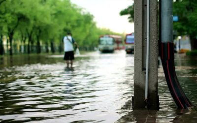Mudanças climáticas podem agravar 58% das doenças infecciosas