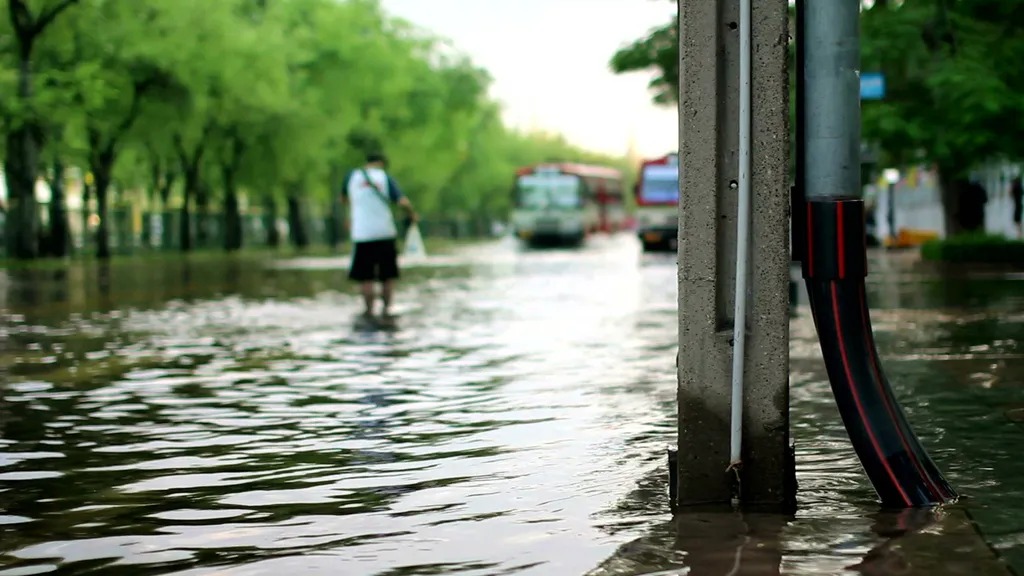 Mudanças climáticas podem agravar 58% das doenças infecciosas