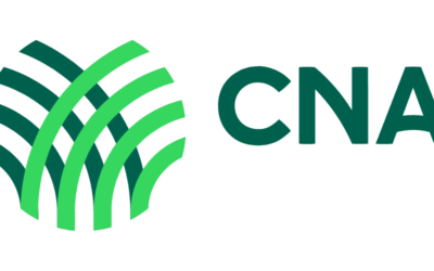 Conheça a Confederação da Agricultura e Pecuária do Brasil (CNA)