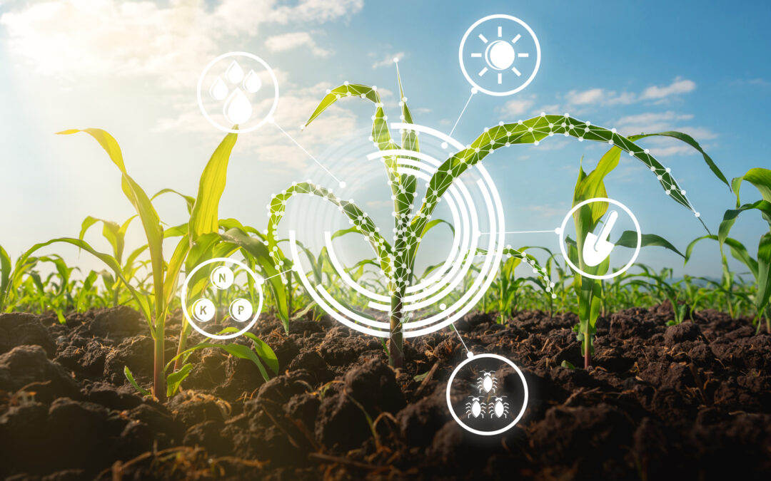 Programa AgroHub Brasil amplia soluções de inovação e tecnologia no campo