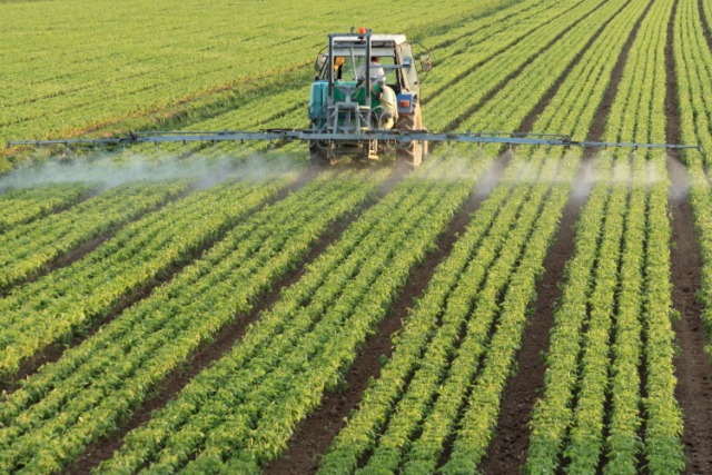 Portaria regulamenta critérios para priorizar análise de registros de defensivos agrícolas