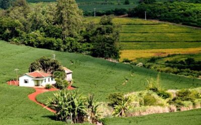10 dias para o fim do prazo da Declaração do Imposto de Propriedade Rural