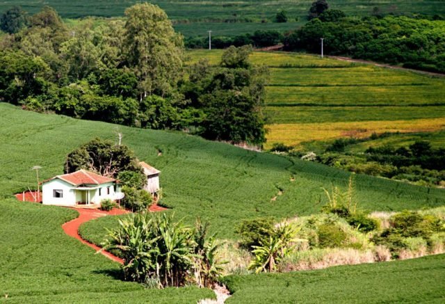 10 dias para o fim do prazo da Declaração do Imposto de Propriedade Rural