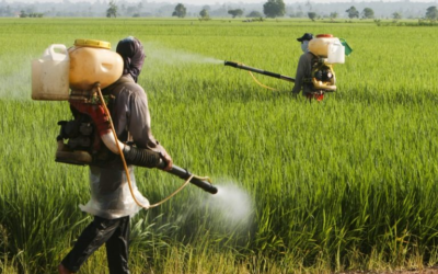 Projeto suspende norma do governo que simplifica registro de defensivos agrícolas