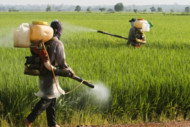 Projeto suspende norma do governo que simplifica registro de defensivos agrícolas