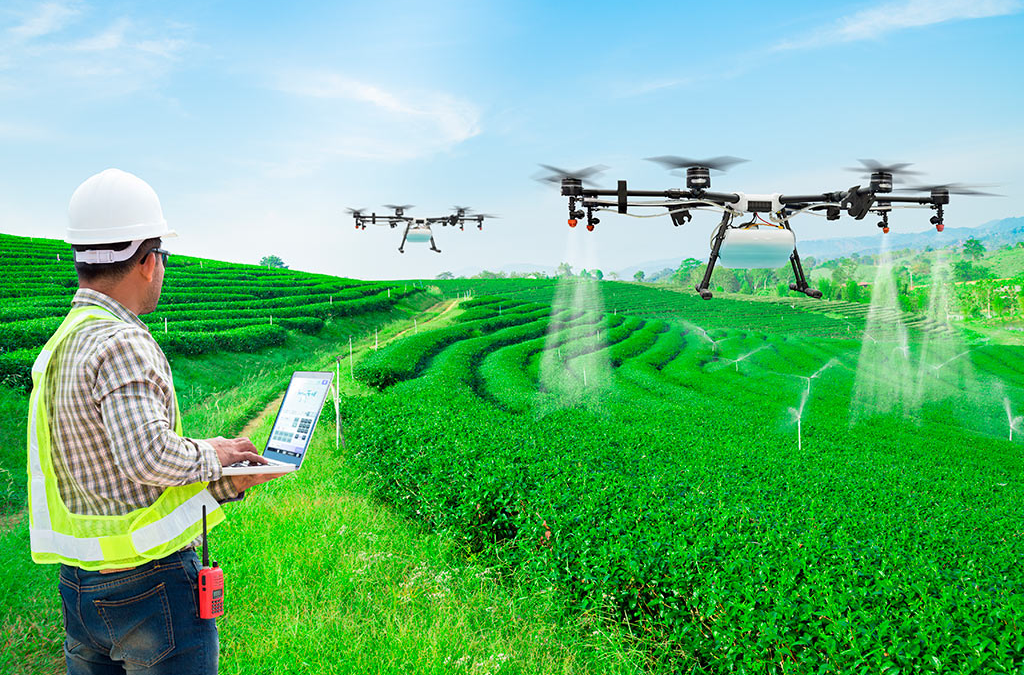 ANAC abre consulta pública para simplificação da regulamentação de drones para pulverização