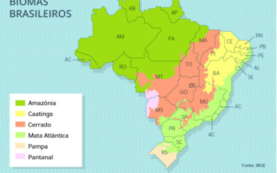 Projeto prevê diretrizes e ações para conservação dos biomas brasileiros