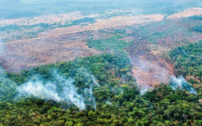 Engenharia e a Amazônia: Desafios e Oportunidades
