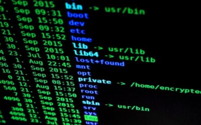 Rússia divulgou IPs do Brasil que atacaram a nação por DDoS