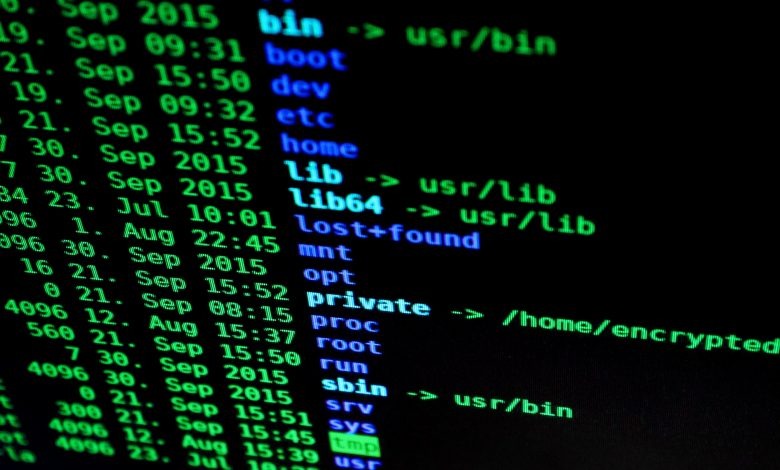 Rússia divulgou IPs do Brasil que atacaram a nação por DDoS