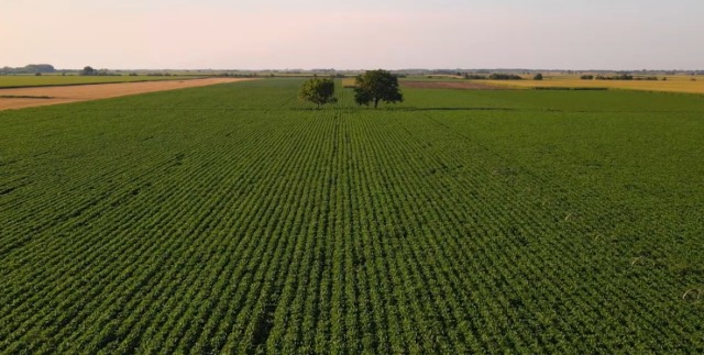 Produtividade na agricultura brasileira cresceu 400% em 45 anos