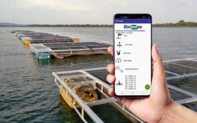 Tecnologia transmite dados da piscicultura para o celular em tempo real