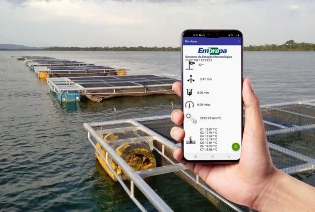 Tecnologia transmite dados da piscicultura para o celular em tempo real