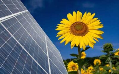 Senado pode aumentar prazo para microgeradores serem integrados à distribuidora de energia